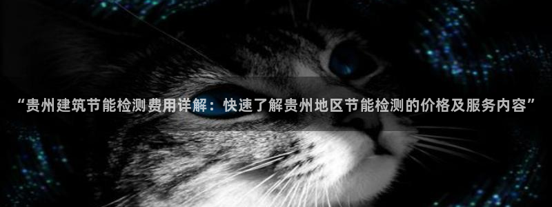 e尊国际娱乐官网地址：“贵州建筑节能检测费用详解：快速了解贵州地区节能检测的价格及服务内容”