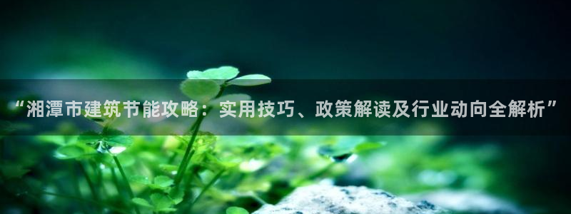 e尊国际娱乐官网地址：“湘潭市建筑节能攻略：实用技巧、政策解读及行业动向全解析”