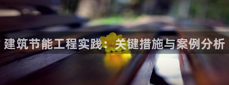 e尊国际官方网站：建筑节能工程实践：关键措施与案例分析