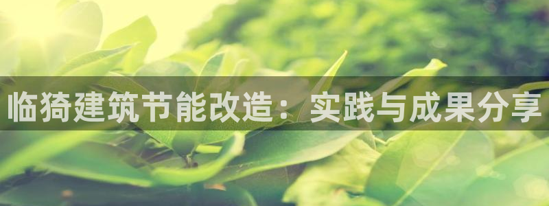 e尊电竞：临猗建筑节能改造：实践与成果分享