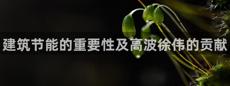 e尊国际平台：建筑节能的重要性及高波徐伟的贡献