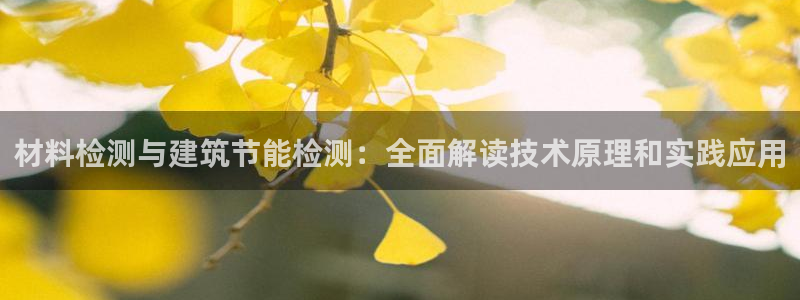 e尊国际客服