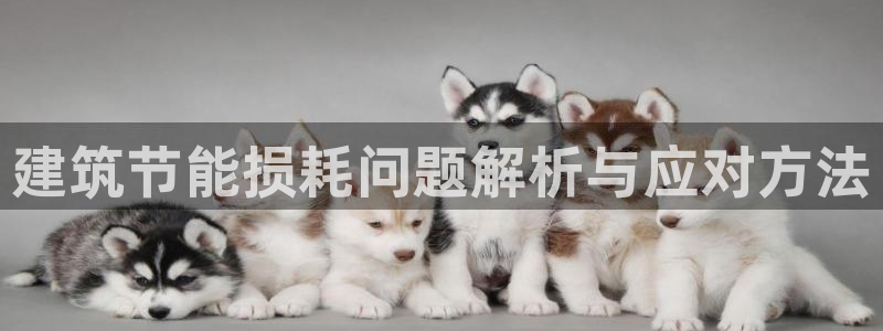 e尊国际客户端下载