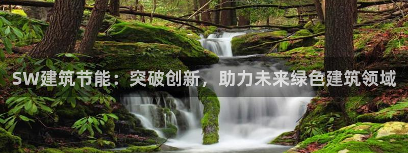 e尊国际官网·网址：SW建筑节能：突破创新，助力未来绿色建筑领域