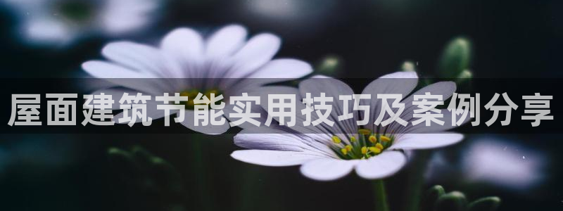 e尊国际网址
