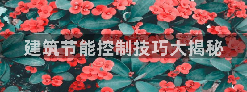e尊国际是个黑网：建筑节能控制技巧大揭秘