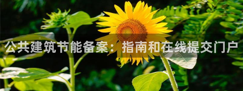 e尊国际官网·网址：公共建筑节能备案：指南和在线提交门户