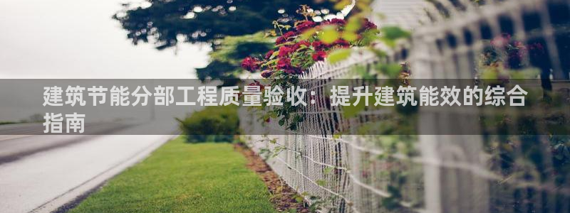 e尊国际官方网站：建筑节能分部工程质量验收：提升建筑能效的综合
指南
