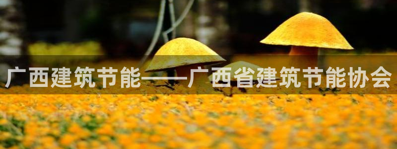 e尊国际地址：广西建筑节能——广西省建筑节能协会