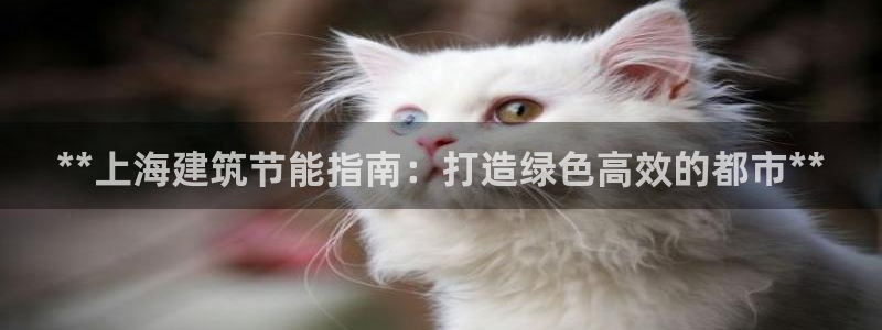 e尊国际客服：**上海建筑节能指南：打造绿色高效的都市**