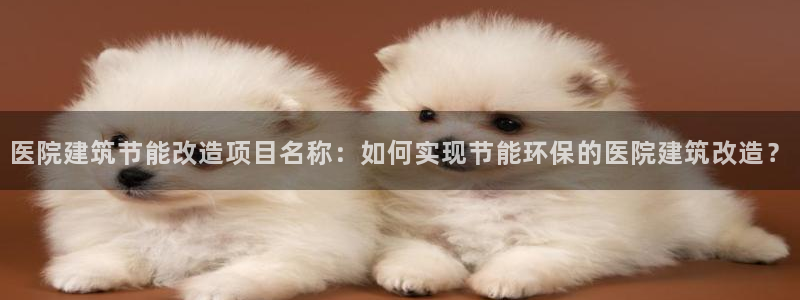 e尊国际app：医院建筑节能改造项目名称：如何实现节能环保的医院建筑改造？