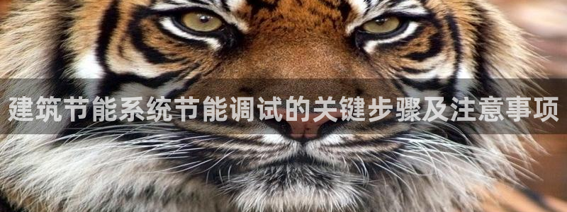 e尊国际7779：建筑节能系统节能调试的关键步骤及注意事项