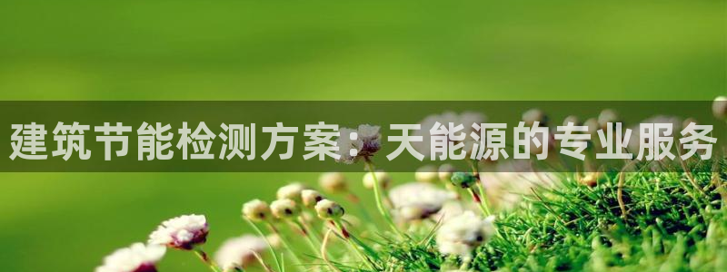 E尊国际：建筑节能检测方案：天能源的专业服务