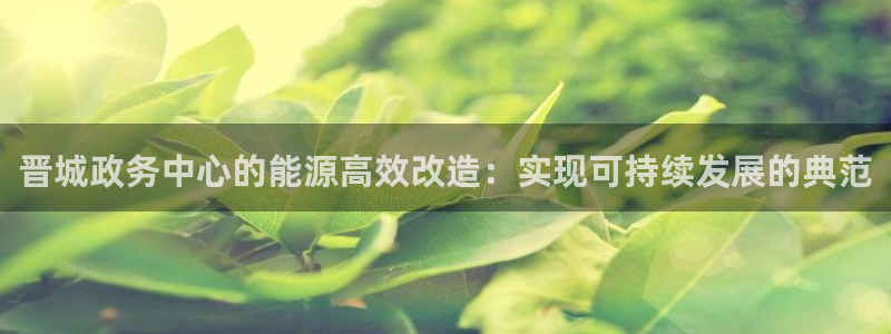 e尊国际官网app：晋城政务中心的能源高效改造：实现可持续发展的典范