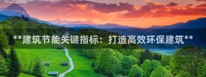 e尊国际官方网站：**建筑节能关键指标：打造高效环保建筑**