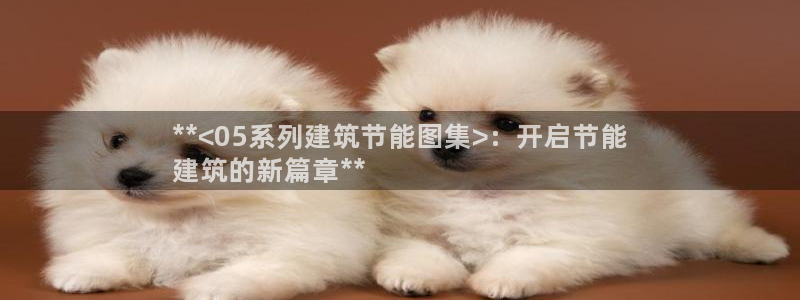 e尊国际可靠吗：**<05系列建筑节能图集>：开启节能
建筑的新篇章**