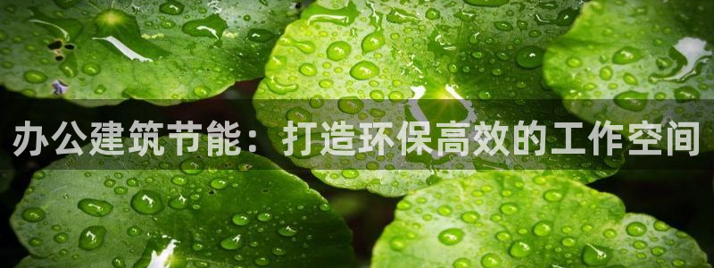 E尊国际：办公建筑节能：打造环保高效的工作空间
