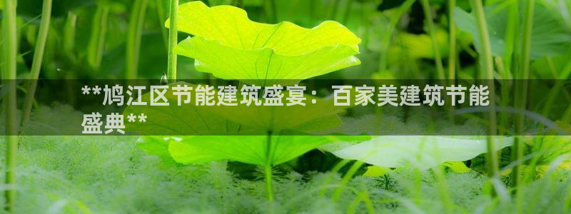 e尊国际是干什么的：**鸠江区节能建筑盛宴：百家美建筑节能
盛典**