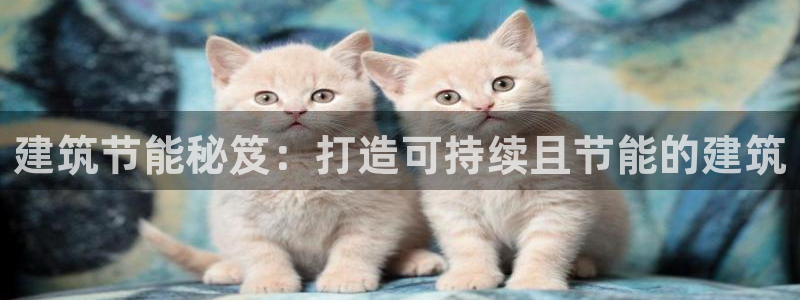 e尊国际-e尊国际官网：建筑节能秘笈：打造可持续且节能的建筑