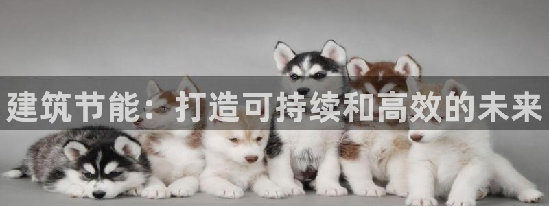 e尊国际-可可计划：建筑节能：打造可持续和高效的未来