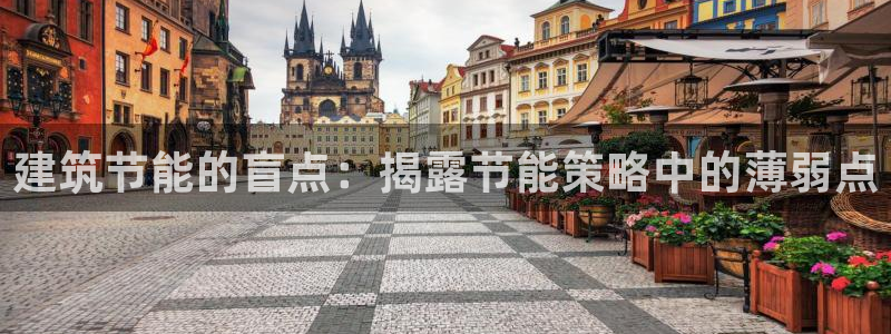 e尊国际-可可计划