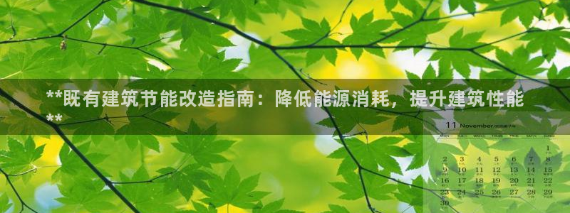 E尊国际网站：**既有建筑节能改造指南：降低能源消耗，提升建筑性能
**