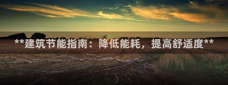 e尊国际客户端下载：**建筑节能指南：降低能耗，提高舒适度**