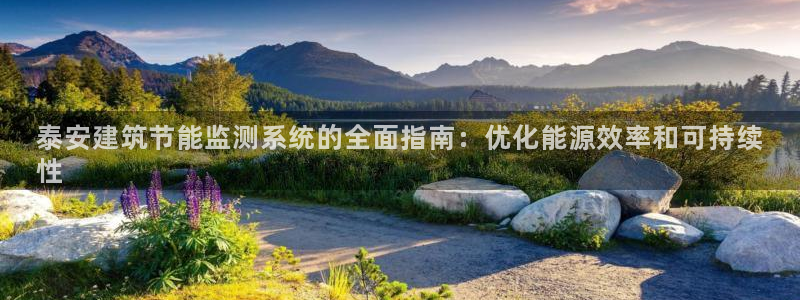 e尊国际娱乐官网下载：泰安建筑节能监测系统的全面指南：优化能源效率和可持续
性