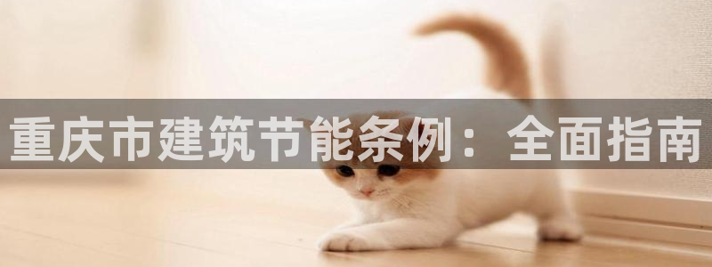 e尊国际可靠吗：重庆市建筑节能条例：全面指南