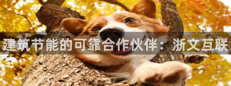 e尊国际的手机登录网站：建筑节能的可靠合作伙伴：浙文互联