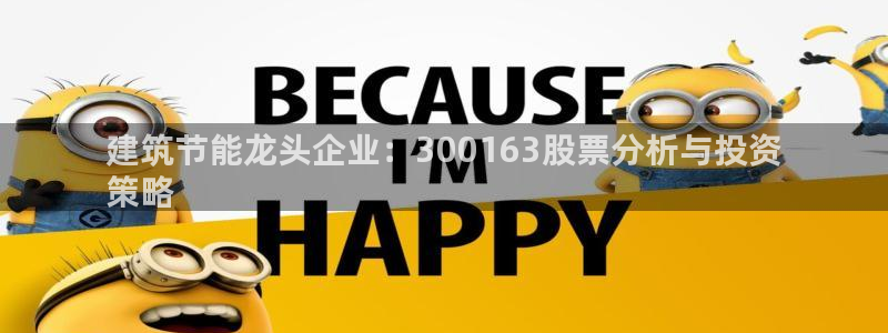 E尊国际：建筑节能龙头企业：300163股票分析与投资
策略