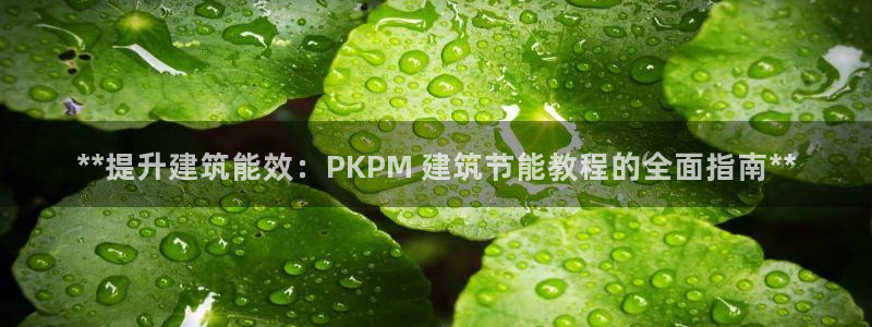 E尊国际：**提升建筑能效：PKPM 建筑节能教程的全面指南**