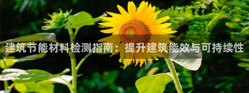 e尊平台：建筑节能材料检测指南：提升建筑能效与可持续性