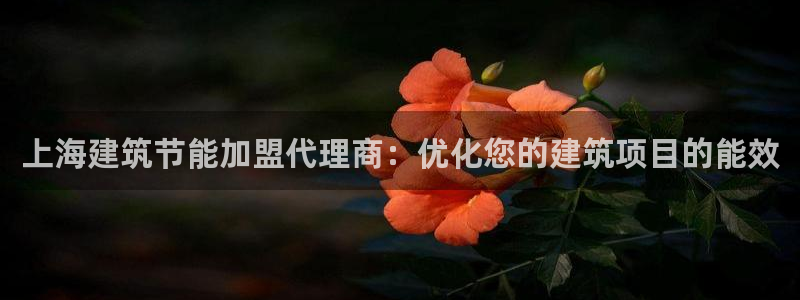 e尊国际可靠吗：上海建筑节能加盟代理商：优化您的建筑项目的能效
