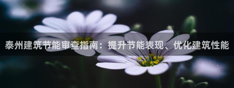 e尊国际客户端：泰州建筑节能审查指南：提升节能表现、优化建筑性能