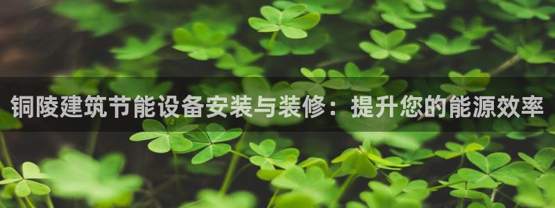 E尊国际网站：铜陵建筑节能设备安装与装修：提升您的能源效率