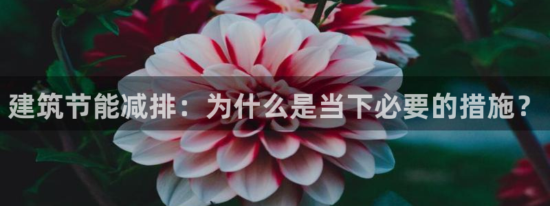 e尊国际官方网站：建筑节能减排：为什么是当下必要的措施？
