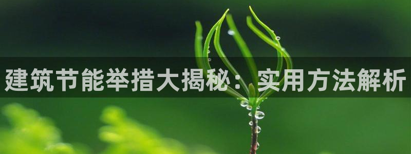 e尊国际娱乐官网地址：建筑节能举措大揭秘：实用方法解析
