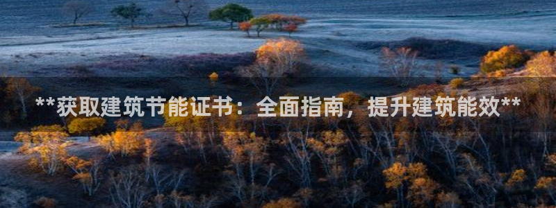 e尊国际网址：**获取建筑节能证书：全面指南，提升建筑能效**