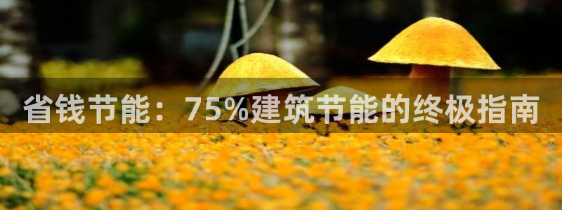 e尊国际app：省钱节能：75%建筑节能的终极指南