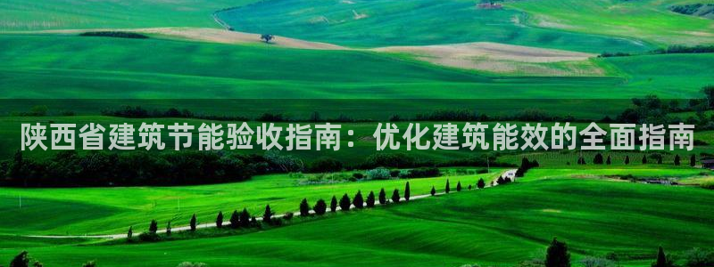 e尊国际app：陕西省建筑节能验收指南：优化建筑能效的全面指南