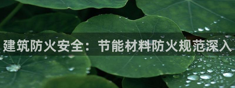 E尊国际网站：建筑防火安全：节能材料防火规范深入