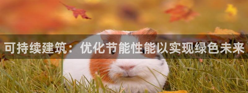 e尊国际可靠吗：可持续建筑：优化节能性能以实现绿色未来