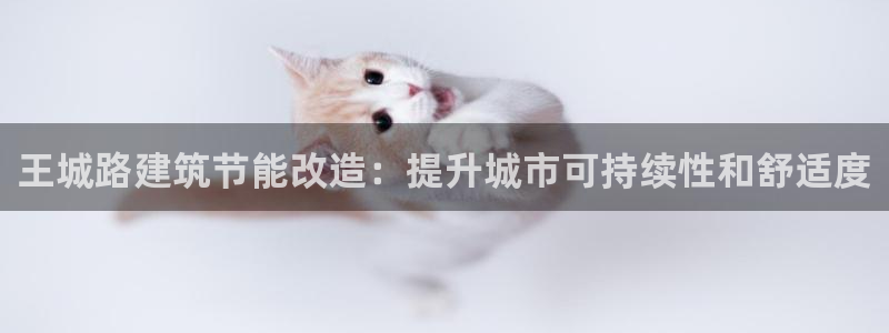 e尊国际客户端：王城路建筑节能改造：提升城市可持续性和舒适度