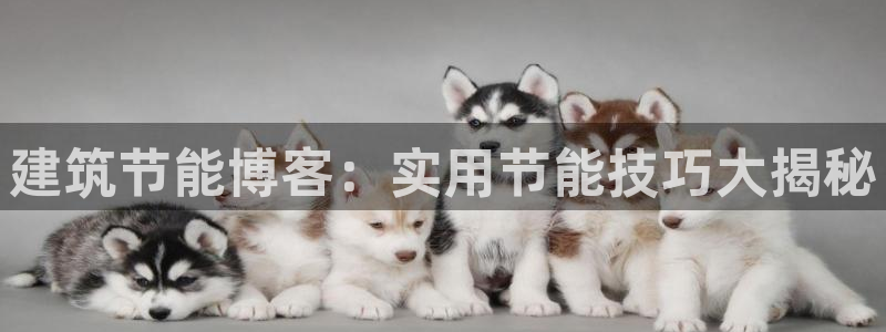 e尊国际官网·网址：建筑节能博客：实用节能技巧大揭秘