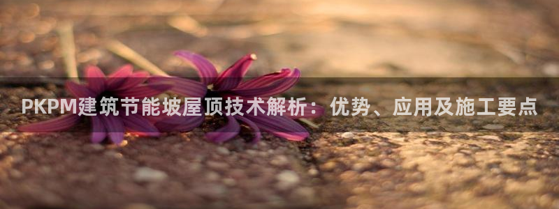 e尊国际官网·网址：PKPM建筑节能坡屋顶技术解析：优势、应用及施工要点
