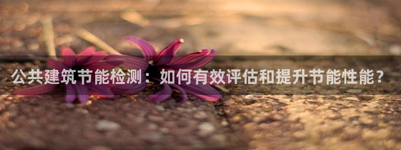 e尊国际-可可计划：公共建筑节能检测：如何有效评估和提升节能性能？