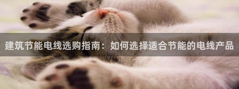 e尊国际客户端：建筑节能电线选购指南：如何选择适合节能的电线产品