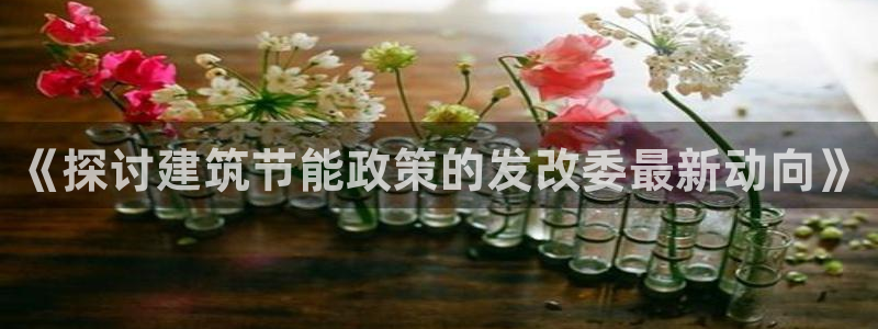 e尊国际官网app：《探讨建筑节能政策的发改委最新动向》