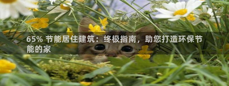 e尊国际娱乐官网地址：65% 节能居住建筑：终极指南，助您打造环保节
能的家